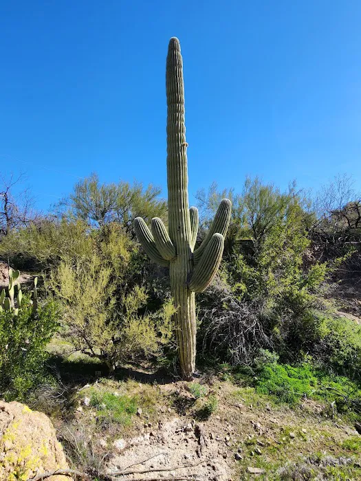 Chaparral Ranch Picture 2