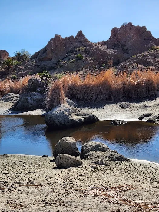 Chaparral Ranch Picture 5