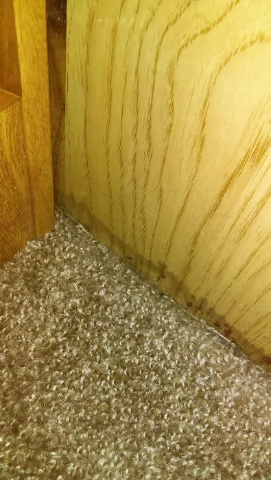 Chaparral Ranch Picture 10