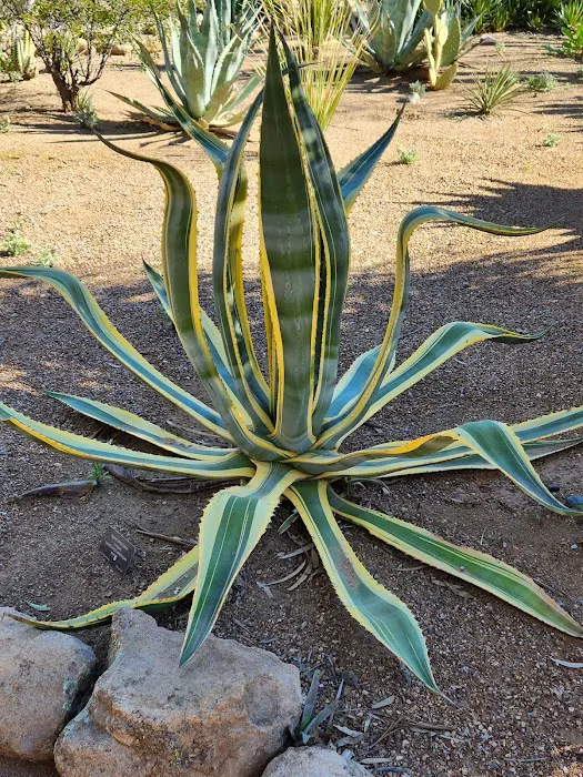 Chaparral Ranch Picture 8