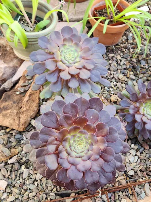 Chaparral Ranch Picture 9