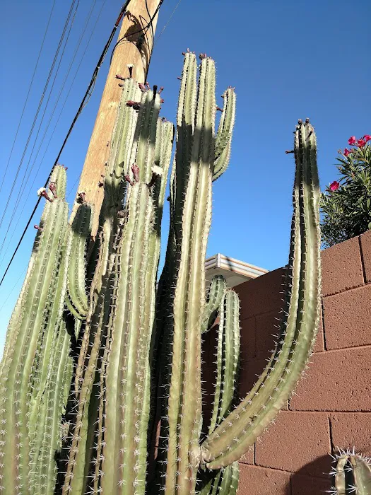 Sunhaven RV Resort Picture 9