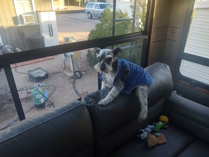 Superstition Mobile Village Picture 7