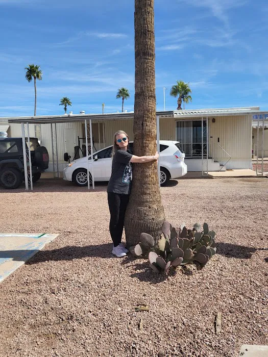 Superstition Mobile Village Picture 10