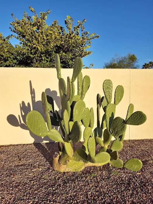 Countryside Resort Picture 10