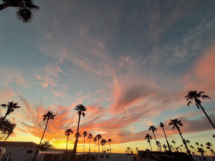 Countryside Resort Picture 8