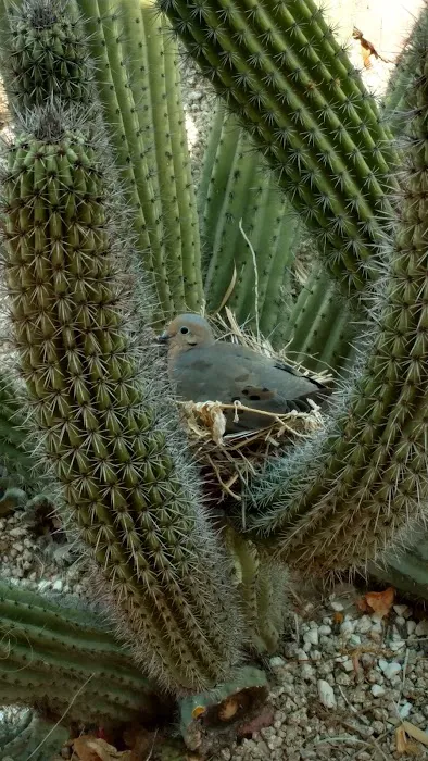 White Sands Estate Picture 8