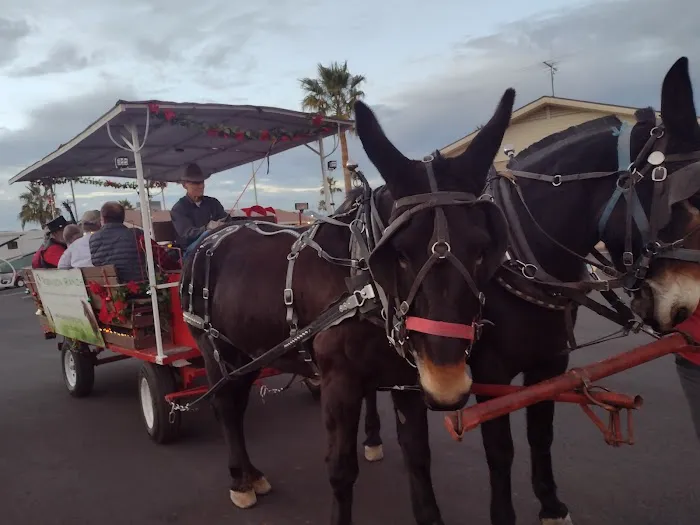 Tomahawk Mobile Home Park Picture 8