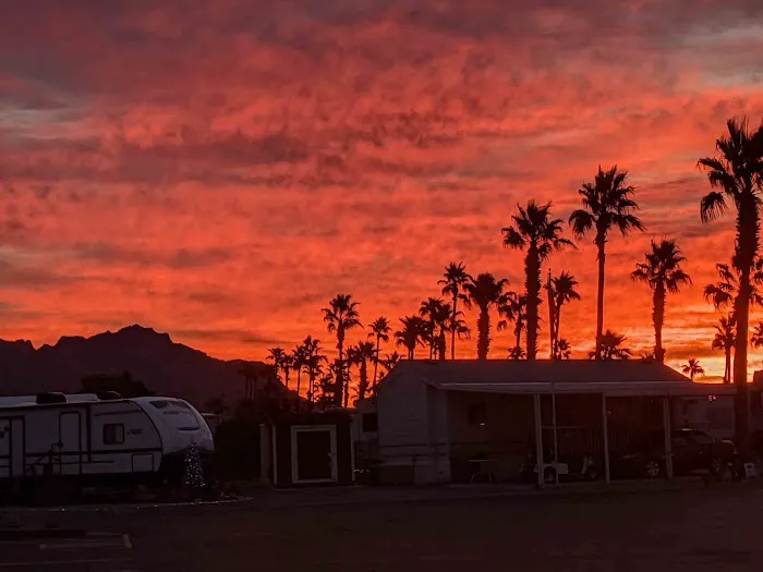 Weaver's Needle RV Resort Picture 4