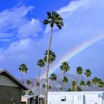 Weaver's Needle RV Resort