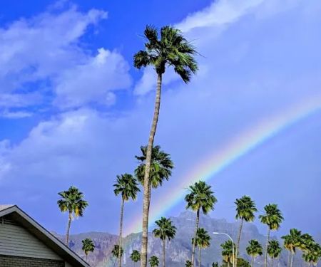 Weaver's Needle RV Resort