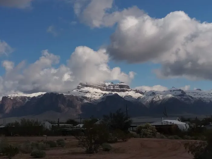 Newhaven Estates Picture 5