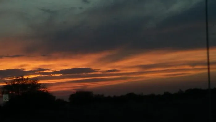 Newhaven Estates Picture 9