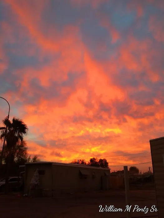 Arizona RV & Mobile Home Park Picture 6