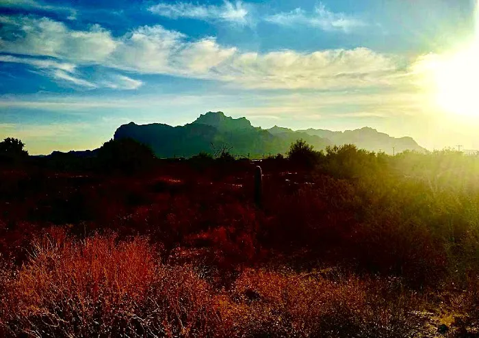 Arizona RV & Mobile Home Park Picture 10