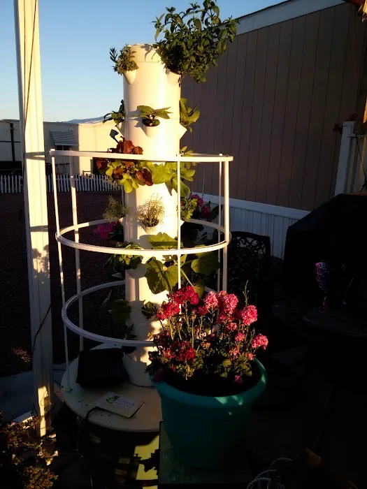 Denali Park Picture 4