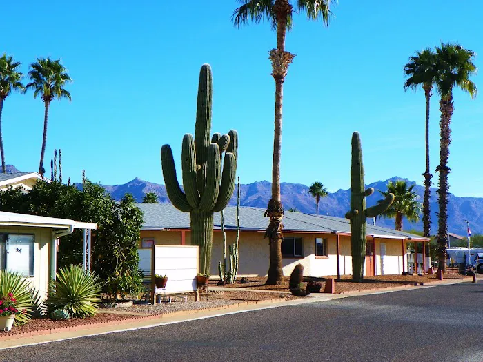 Denali Park Picture 6