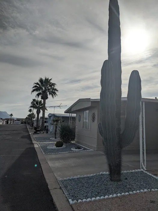 Raindance Mobile Park Picture 8