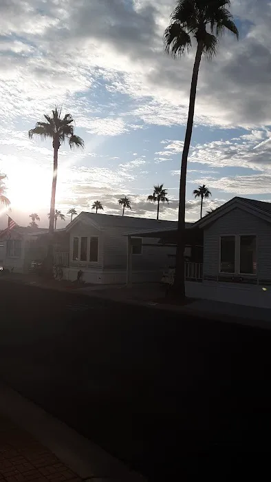 Saguaro Canyon Village Picture 3