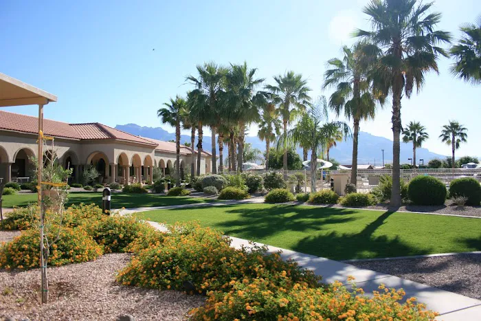 Dolce Vita Picture 6