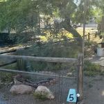 Roadrunner Mobile Park