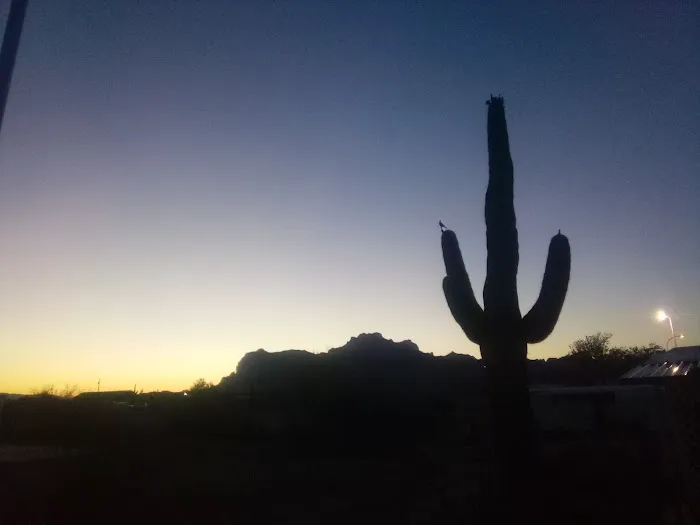 Palo Verde Hills Mobile Park Picture 5