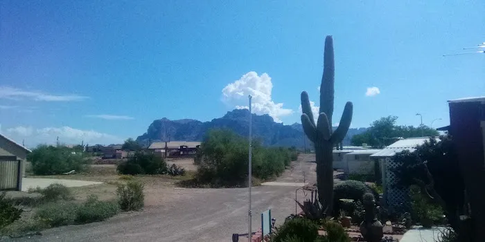 Palo Verde Hills Mobile Park Picture 8