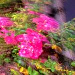 Fran-Mar Mobile Home Villa