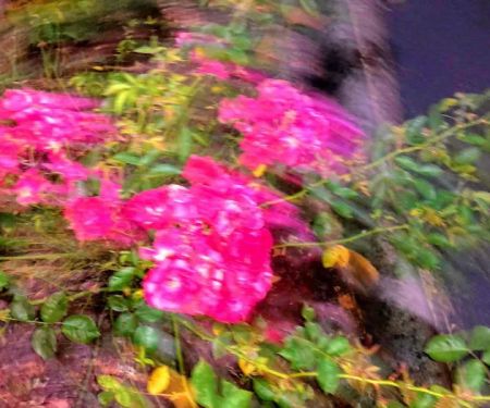 Fran-Mar Mobile Home Villa