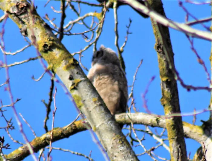 Rolling Hills Mobile Terrace & RV Park Picture 9