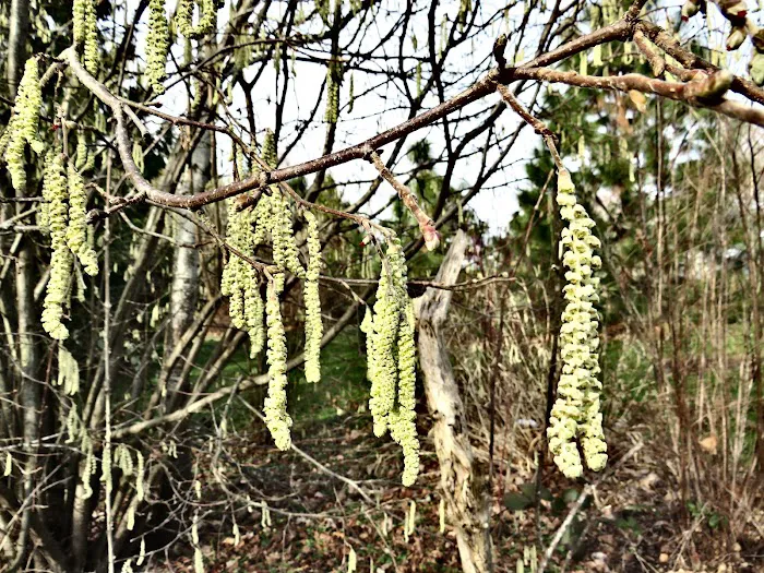 Sandy Mobile Villa Picture 3