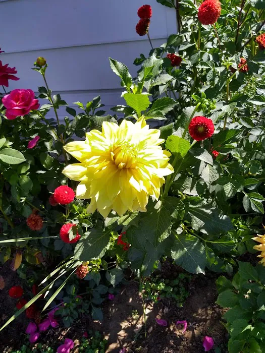 Sandy Mobile Villa Picture 5