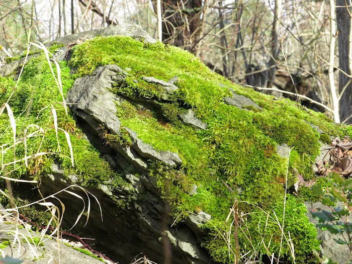 Sandy Mobile Villa Picture 6