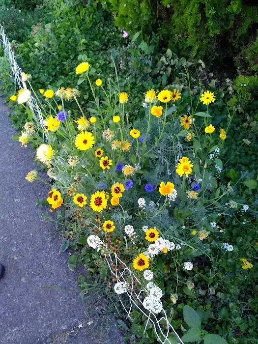 Sandy Mobile Villa Picture 10