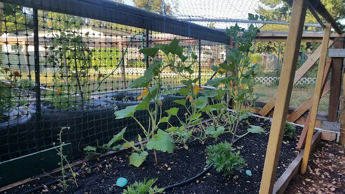 Terrand Mobile Terrace Picture 6