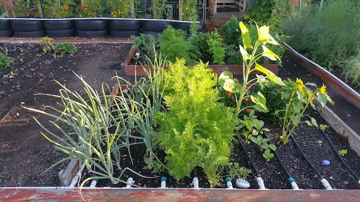 Terrand Mobile Terrace Picture 5