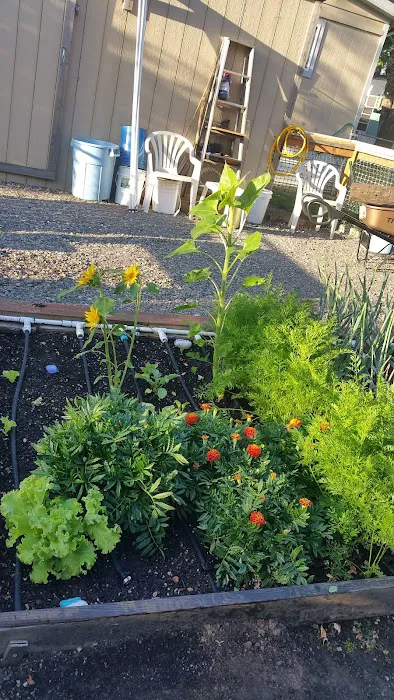 Terrand Mobile Terrace Picture 3