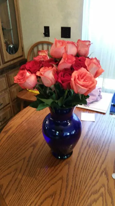 Terrand Mobile Terrace Picture 2