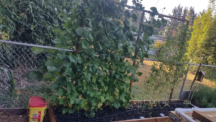 Terrand Mobile Terrace Picture 10