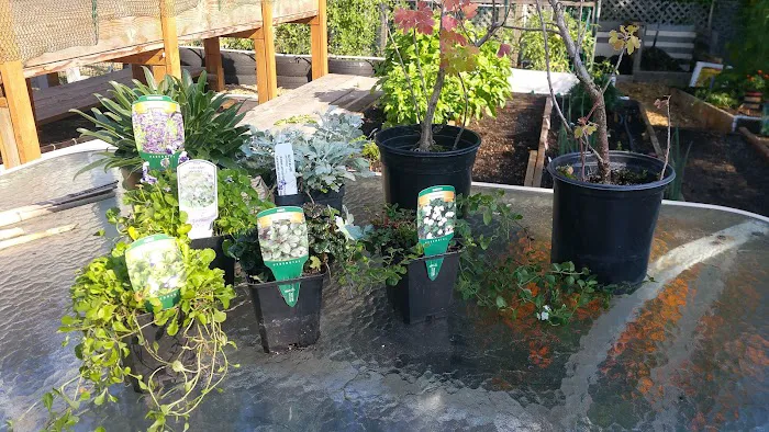 Terrand Mobile Terrace Picture 9