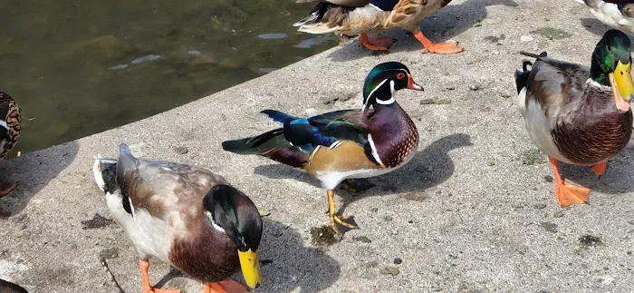 Portland Fairview RV Park Picture 1