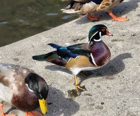 Portland Fairview RV Park