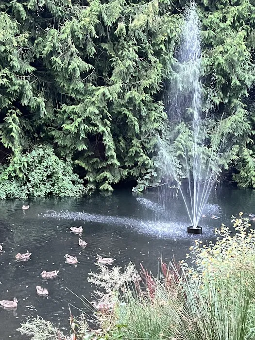 Portland Fairview RV Park Picture 7