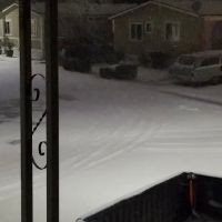 Cherry Blossom Mobile Home Park ico