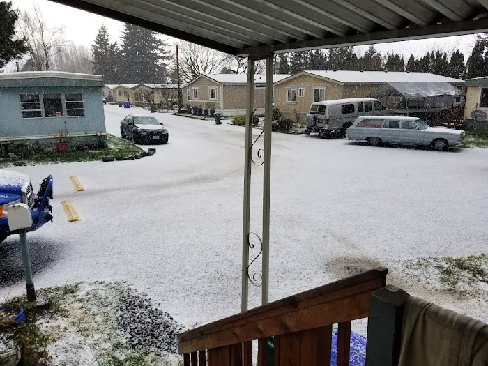 Cherry Blossom Mobile Home Park Picture 7