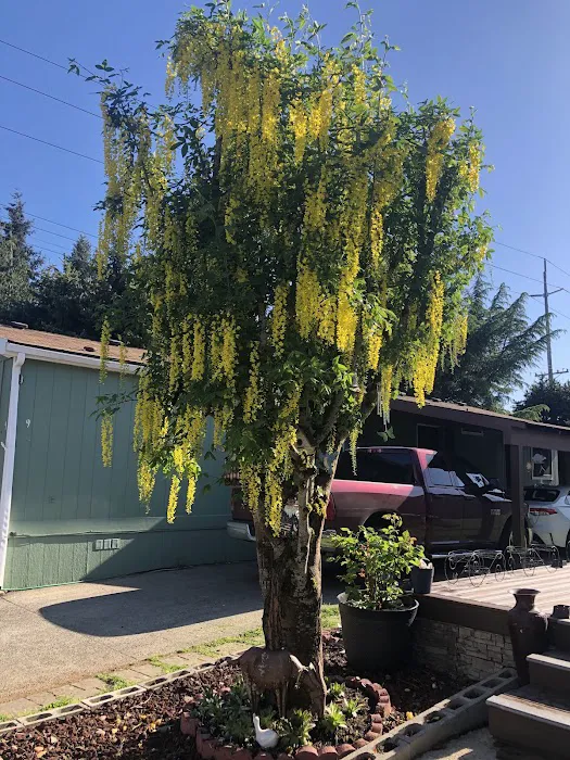 Acres Mobile Estates LLC Picture 2