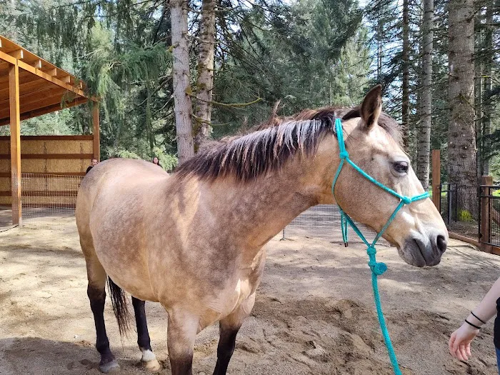 Oak Meadows Picture 5