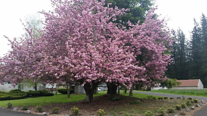 Green Mountain Mobile Ranch Picture 1