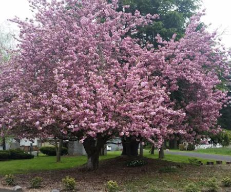 Green Mountain Mobile Ranch