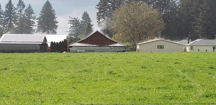 Green Mountain Mobile Ranch Picture 10